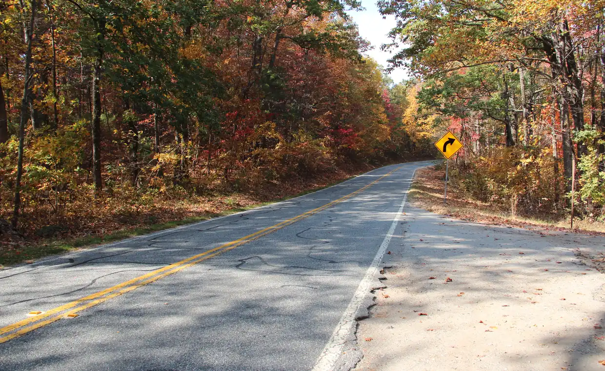 A two-lane road with a double yellow center line curving through dense forest in peak autumn colour, red, orange and gold leaves on both sides.