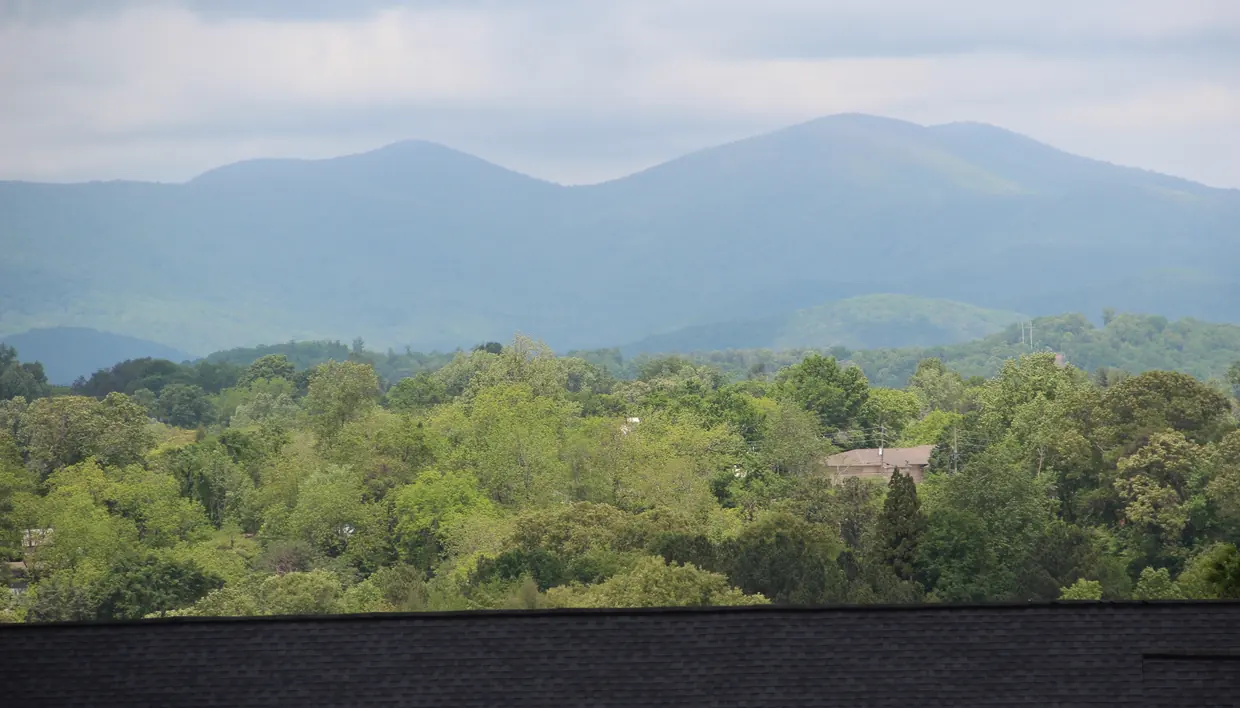 Two broad blue-green mountains under a soft grey sky, beyond a wide band of fresh spring treetops and a few rooftops.