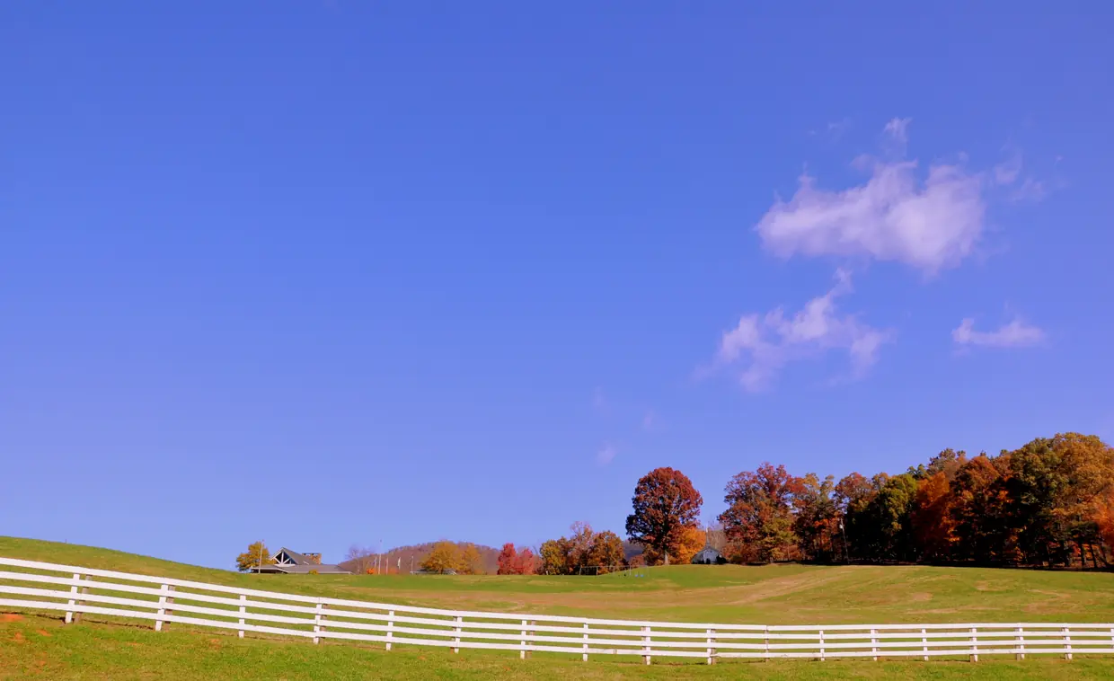 A rolling green pasture behind a long white four-rail fence, a band of autumn trees in red, orange and green along the far rise, under a deep-blue sky.